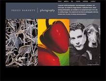 Tablet Screenshot of prbarnett.com